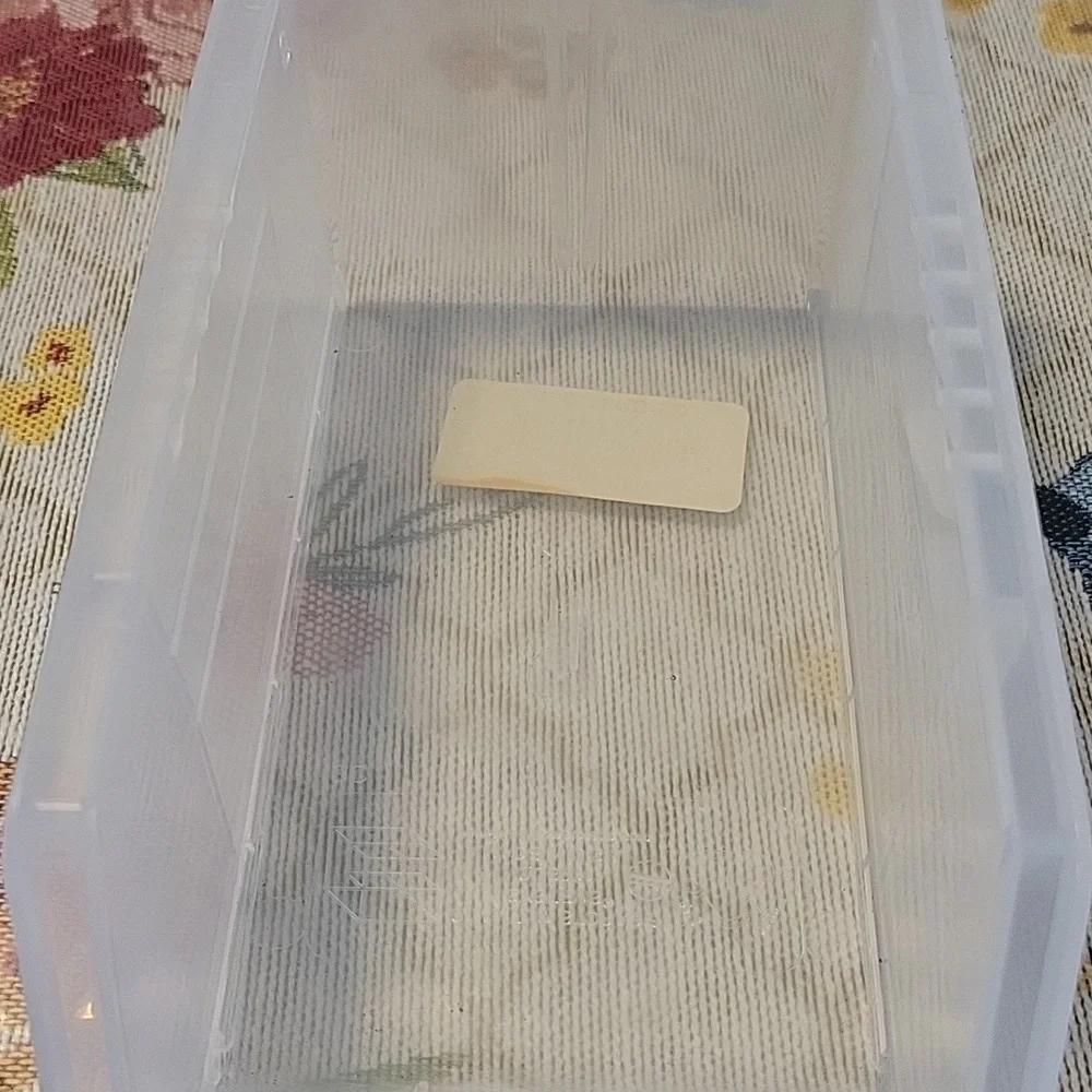 Clear Storage Bin